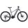 Liv Vall-E+ Damen EMTB 2021 | echeveria