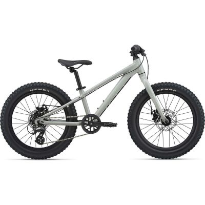 Giant STP 20 GIANT Kinderrad 2021 | concrete