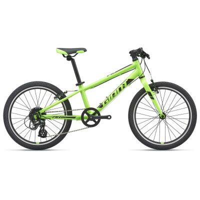 Giant ARX 20 Kinderrad 2021 | green