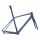 Giant TCR Advanced SL Rahmenset 2021 | astral aura / blue ashes