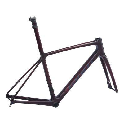 Giant TCR Advanced SL Disc Rahmenset 2021 | sincity