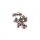 ROTOR SHIFT SYSTEM BANJO BOLT 10 UNITS Schraubensatz