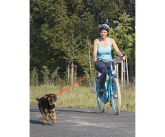 M-WAVE Dog Walk Hundeleinenführstange
