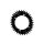 ROTOR Q RINGS MTB BCD100X4 30T BLACK (T-Type Compatible) Kettenblatt