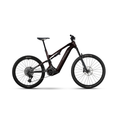Haibike ALLMTN CF 9 800Wh E-Fully 2026 | black/platinum glänzend