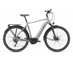 GIANT ANYCROSS E+ 0 GTS E-Bike Trekking 2021 | Solidgrey