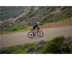 Liv Avail AR 1 All-Rounder Rennrad 2024 | Terracotta