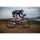 Liv Avail AR 1 All-Rounder Rennrad 2024 | Terracotta