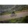 Liv Avail AR 1 All-Rounder Rennrad 2024 | Terracotta