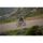 Liv Avail AR 1 All-Rounder Rennrad 2024 | Terracotta