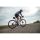 Liv Avail AR 1 All-Rounder Rennrad 2024 | Terracotta