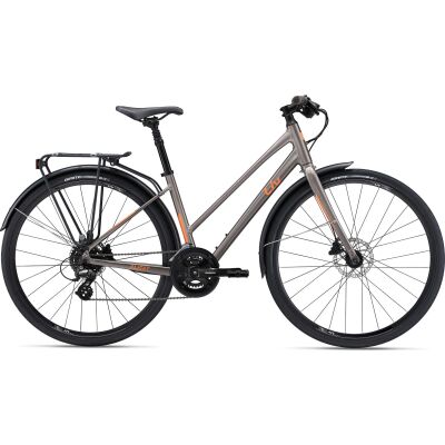 Liv Alight Citybike 2024 | Metal