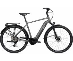 GIANT DailyTour E+ 2 D Sport 625Wh GTS City E-Bike 2022 |...