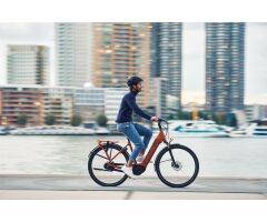 GIANT DailyTour E+ 2 D Sport 625Wh LDS City E-Bike 2022 | Amber Glow