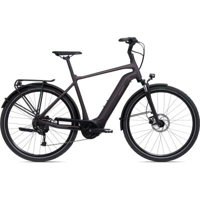 GIANT DailyTour E+ 3 Sport 500Wh GTS City E-Bike 2024 | Rosewood