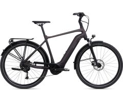 GIANT DailyTour E+ 3 Sport 500Wh GTS City E-Bike 2024 |...