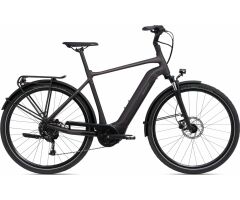 GIANT DailyTour E+ 3 Sport 500Wh GTS City E-Bike 2022 | Rosewood