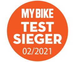 GIANT DailyTour E+ 3 Sport 500Wh GTS City E-Bike 2023 | Rosewood