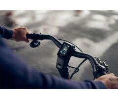 GIANT DailyTour E+ 3 Sport 500Wh LDS City E-Bike 2024 | Rosewood