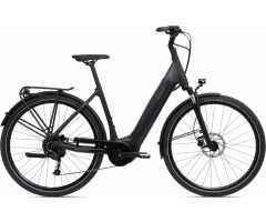 GIANT DailyTour E+ 3 Sport 500Wh LDS City E-Bike 2022 | Rosewood