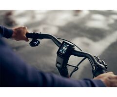 GIANT DailyTour E+ 3 Sport 500Wh LDS City E-Bike 2023 | Rosewood