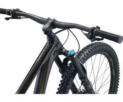 GIANT Trance X 1 29er Fully 2022 | Panther