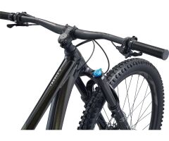 GIANT Trance X 1 29er Fully | Panther 2022