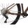 GIANT Talon 1 MTB 2023 | Hematite