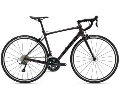 GIANT Contend 1 All-Rounder Rennrad 2022 | Rosewood