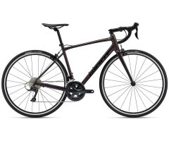 GIANT Contend 1 All-Rounder Rennrad 2024 | Rosewood
