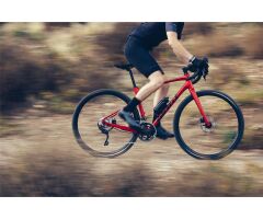 GIANT Revolt 1 Gravelbike 2024 | Grenadine