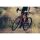 GIANT Revolt 1 Gravelbike 2023 | Grenadine