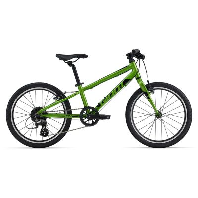 GIANT ARX 20 Kinderrad 2022 | Metallic Green