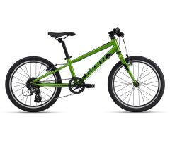 GIANT ARX 20 Kinderrad 2022 | Metallic Green
