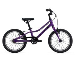 GIANT ARX 16 Kinderrad 2023 | Purple
