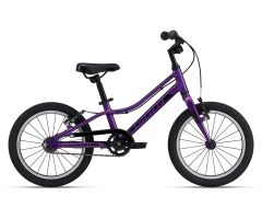 GIANT ARX 16 Kinderrad 2024 | Purple