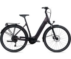 GIANT DailyTour E+ 3 Sport 500Wh LDS City E-Bike 2024 | Rosewood | XL