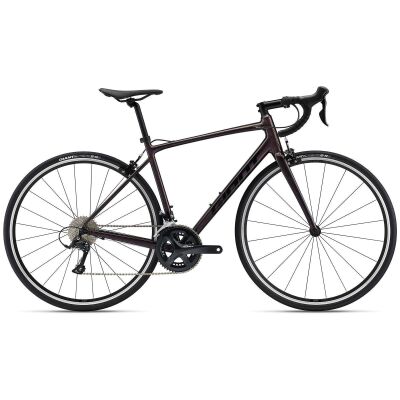 GIANT Contend 1 All-Rounder Rennrad 2024 | Rosewood | XL