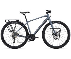 GIANT ToughRoad SLR 1 Crossrad 2024 | Knight Shield | M