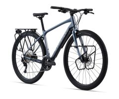 GIANT ToughRoad SLR 1 Crossrad 2024 | Knight Shield | M