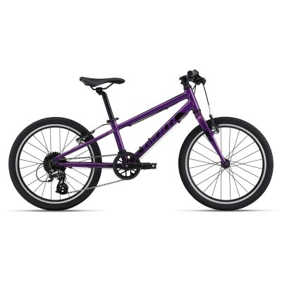 GIANT ARX 20 Kinderrad 2024 | Purple | One size