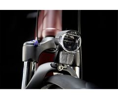 KALKHOFF IMAGE 3.B EXCITE 500 Wh Tiefeinsteiger City E-Bike RT 2022 | mahagonyred glossy