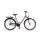 Winora Hollywood N7 Tiefeinsteiger City-Bike 2025 | iris