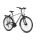 Winora Domingo 21 Trekkingrad 2025 | silk grey