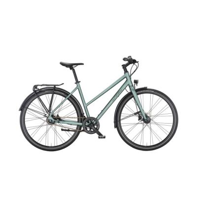 KTM CHESTER 8 D Urbanbike 2024 | moss grey matt (moss grey glossy)