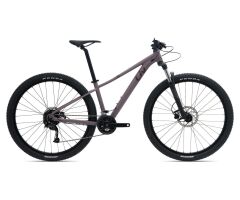 Liv Tempt 3+ Damen MTB 2024 | purple ash matt