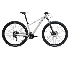 Liv Tempt 3+ Damen MTB 2024 | snow drift