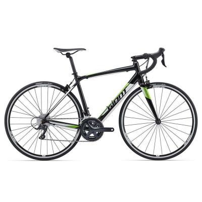 GIANT CONTEND 1 2017